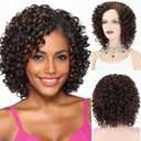 XIUFAXIRUSI XIUFAXIRUSI Curly Afro Wigs for Black Women Short Synthetic Mixed Brown Curly Wig Natural Soft Heat Resistant Glueless African American Afro Loose Curls wigs