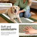 pobopobo Dog Door Mat for Muddy Paws - Absorbent & Washable Chenille Rug, Non-Slip Dirt Trapper for Indoor Outdoor Entryway, Quick Dry Pet Mat for Muddy Dogs (Green&White, 36" x 24")
