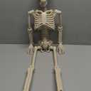 36" Halloween Skeleton, 3 ft Human Skeleton Full Body Posable Joints Plastic Skeleton for Halloween Decoration, Yard Patio Lawn Garden Skeleton Spooky Party Decoration Indoor Outdoor