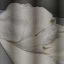 ebossy Women's Fashion Notched Lapel Single Breasted Open Front Maxi Long Trench Coat Woolen Overcoat (L, Beige)