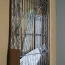 5-Shelf Storage Shelves,Wire Shelving Heavy Duty Metal Storage Shelving Unit Adjustable Garage Shelving Rack Pantry Kitchen (Chrome, 4 Tier,15.8" D x 45.3" W x 59.4" H)