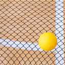 Spike Replacement Nets 35 inches Including 2 Roundnet Game Nets