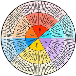 VROCUSE Feelings Wheel Large 12 inch, Acrylic Emotion Wheel Chart For Therapy School Counselor, Social Worker, Counseling Office Decor (Adhesive Backing) VROCUSE Feelings Wheel Large 12 inch, Acrylic Emotion Wheel Chart For Therapy School Counselor, Social Worker, Counseling Office Decor (Adhesive Backing)