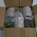 Der Rose 6pcs Mini Fake Plants Artificial Potted Plants Desk Plants for Home Office Farmhouse Bathroom Bedroom Decor