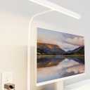 SUPERDANNY LED Desk Lamp for Home Office, Eye-Caring Desk Light with Adjustable Gooseneck, 12W Touch Control Dimmable Brightness, Architect Clamp Lamp with USB Adapter, White