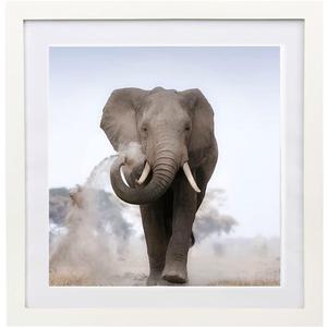 16x16 Diamond Painting Picture Frames 18x18 Diamond Art Frames Wood ,Display Pictures16x16 Inch 40x40 cm with Mat or 18x18 Inch45x45cm Without Mat, Diamond Embroidery Photo Frame Diamond Art
