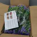 Yastouay Artificial Flowers for Outdoors UV Resistant, 14 Bundles Purple Realistic Fake Outdoor Flowers Fake Plants, Faux Flowers for Outdoor Planters Front Porch Garden Window Box Farmhouse Decor