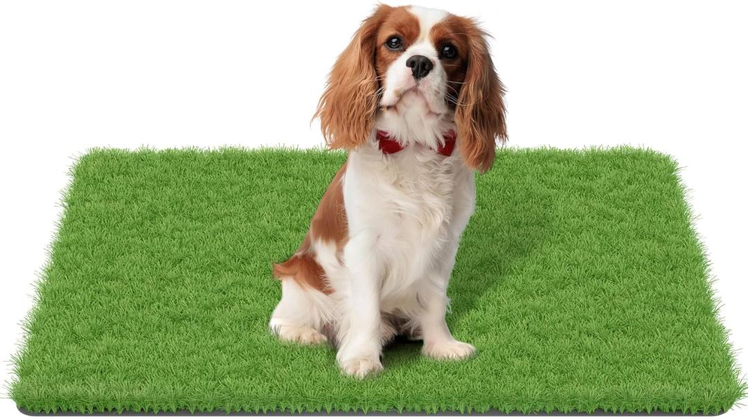 MAYSHINE Fake Grass for Dogs, Artificial Turf Grass Indoor Outdoor, Mat for Dogs Soft Blades, Cesped Artificial for Patios, Dog Astro Turf for Balcony, Quick Clean, Easy Rinse Patio Rug, 35"x24"