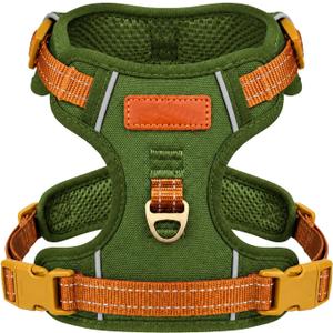 No-Pull Reflective Dog Harness with Handle Soft Padded Vest for Small Dogs Heavy Duty Adjustable Anti-Choke Pet Harness with Front & Back Clip Harness for Walking, Training (Green, XS)