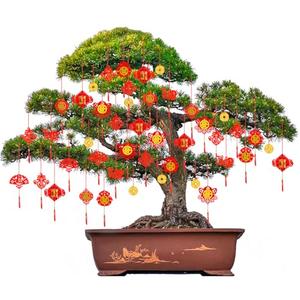 CCINEE 62Pcs Chinese New Year Decoration Chinese Knot Pendant Red Hanging Ornaments 2026 Lunar New Year Lucky Coins Fu Pendants for Home Office Car Trees Spring Festival Decor
