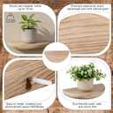 4 Pcs Solid Wood Half Round Floating Wall Shelves, Elegant Floating Wooden Shelves, 8.27 Inch Wall Shelf for Living Room, Bathroom, Bedroom, Offices, Pictures Plant Book(Light Brown)