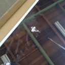 brisafe NanoMirror Non-Glass Ultra-Light 9.5 lbs Home Gym on Wheels, 67" x 40" Extra Large Full Body Mirror, Unbreakable & Shatterproof, 360° Swivel for Yoga, Dance, Fitness Studio & Home, White