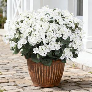 Coferset 30 Blooms White Geraniums Artificial Flowers for Outdoor, 6 Bundles Velvet Realistic Faux Geraniums for Garden Planters, UV Resistant Faux Flowers for Garden, Porch Decor(6, White)