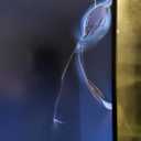 Alienware 34 Curved Gaming Monitor  AW3425DWM - 34-inch WQHD 180Hz 1ms Display, 1500R, AMD FreeSync Premium, VESA AdaptiveSync.