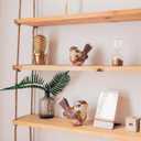 Novabright 2 Pcs Boho Bird Figurines Home Decor Retro Animal Statues Decorative Birds Statue Sculpture Trinkets for Shelf Decor Living Room Bedroom Office Bookshelf Desktop Bird Lovers Collection