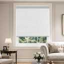 36" W x 72" H Cordless Blackout Roller Shades Blinds for Indoor Windows Free-Stop Blackout Blinds Window Roller Blinds for Home and Office, Modern Window Blind Color-Matched (Blackout-Grey)
