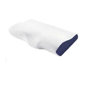 Memory Foam Pillow （Queen Size ）