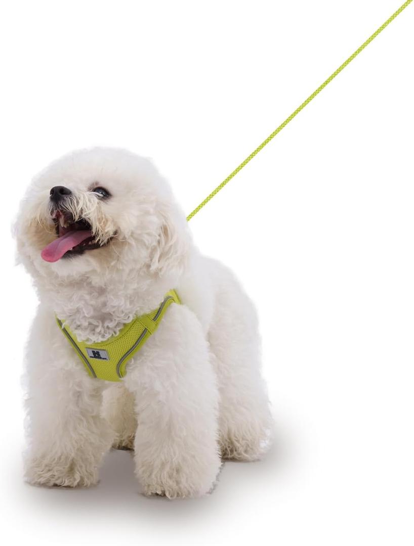 Adjustable Dog Harness with Leash, Reflective Mesh, No-Pull DesignMatching Lead Rope (Lemon Yellow, M)