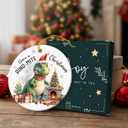 Dinosaur Ornaments for Christmas Tree 2025 - Dinosaur Lover Gifts for Friends, Coworkers, Family, T Rex Ornament for Christmas Tree, Animal Lovers Gifts for Women, Christmas Decorations Indoor