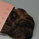 YUMOREAL Drawstring Ponytail Hair Extensions Wavy Long 26 Inch Synthetic Fake Hairpiece for Women Dark Brown/Golden Blonde