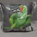 Indian Ringneck Parrot bird Throw Pillow, 16x16