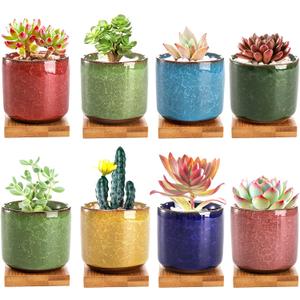 Lawei 8 Pack 2.5 Inch Mini Succulent Plant Pot with Drainage and Bamboo Tray, Small Ceramic Cactus Plant Pot, Flower Pots Faux Plants Containers for Home Garden Office Decoration(Plants NOT Included)