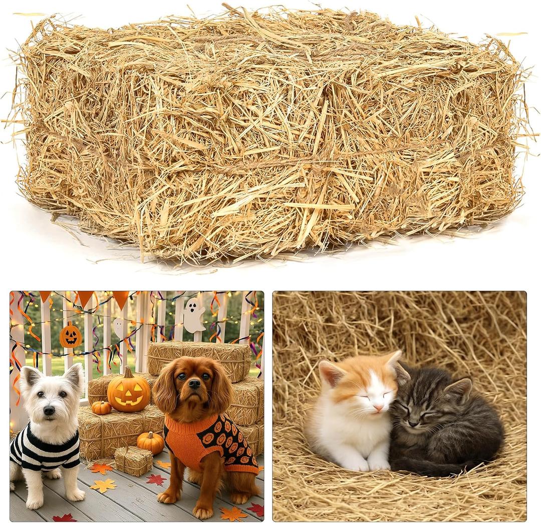 Natural Wheat Straw  3 LB Clean Dry Straw Bale for Stray Cats & Dogs, Soft Straw Bedding for Cat Shelter, Hay Bales for Decoration, Yard or Farm Use