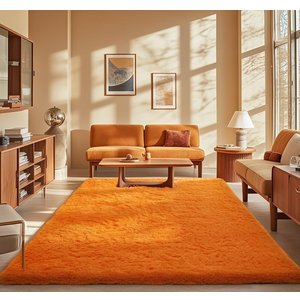 Ophanie Orange Rugs for Living Room Bedroom, 5x8 Fluffy Fuzzy Furry Carpet, Plush Soft Shaggy Bedside Indoor Floor Area Rug for Kids Nursery Home Decor with Over 999 pcs Non-Slip Backing Pattern