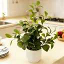 19'' Artificial Ficus Plant in White Textured Ceramic Pot Realistic Faux Greenery with Lifelike Leaves Fake Plants for Indoor Home Office Bathroom Shelf Desk Tabletop Decor