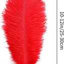 THARAHT Red Ostrich Feathers 24pcs Natural Bulk 10-12Inch 25cm-30cm for Crafts Wedding Party Centerpieces Halloween and Home Decoration Feathers