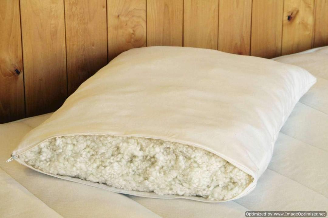 Holy Lamb Organics Woolly "Down" Pillow (Standard (Pack of 1)