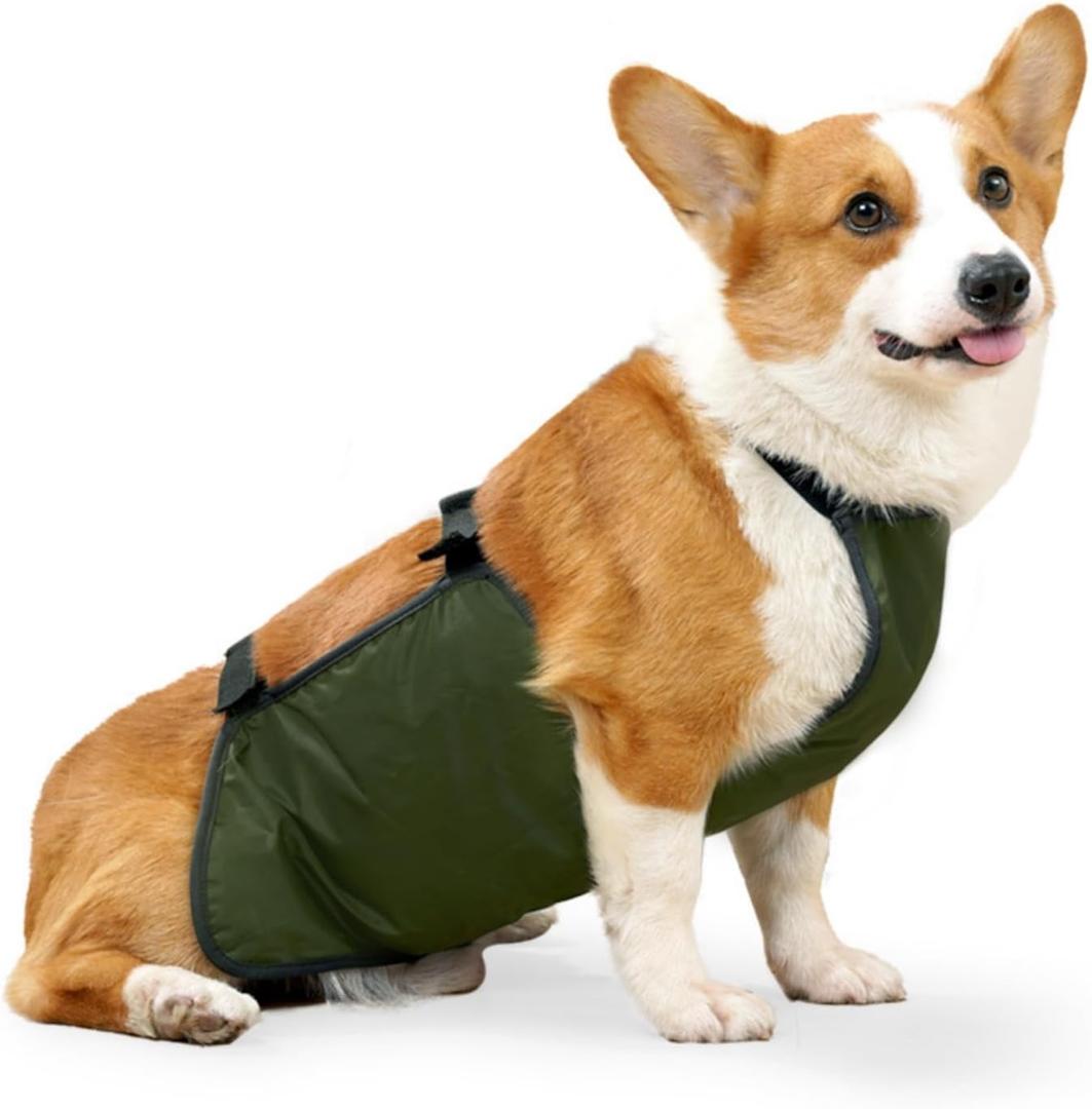 Waterproof Corgi Raincoat - Lightweight Dog Bellyband & Protector, Breathable, Anti-Dirty Puppy Outfits(Green, 2XL)