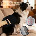 4PCS Pet Grooming Tools Dog Brush | Pet Grooming Rake | Dog Hair Remover | Dog Shampoo Brush 4-in-1 Pet Grooming Kit Suitable for detangling, Hair Removal, Bathing, and Massage