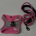 haapaw Dog Harness with Leash Set, No Pull Adjustable Reflective Step-in Puppy Harness with Thickened Padded Vest for Extra-Small/Small Medium Dogs (Grey / Pink)