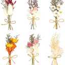 6Pcs Mini Dried Flowers Bouquet, Mixed Natural Dried Flowers Gypsophila Bouquets Boutonniere Table Centerpieces Birthday Cake Flowers for DIY Crafts with 3 Flower Stickers 10m Hemp Rope