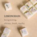 LETINE Wax Melts 10oz(4 Pack), Lemongrass Scented Wax Melts, 100% Soy Wax Melts Wax Cubes with Natural Strong & Non Toxic Essential Oil for Warmer, Gifts Set for Home Fragrance/Spa/Aromatherapy
