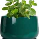 G EPGardening 4 inch Plant Pots - Small Ceramic Planter with Drainage Hole & Tray, Succulent Pots Indoor Outdoor, Round Modern Planter, Decorative Flower Pot, Desk Decor, Gifts for Plant Lover, Green