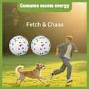 2 x SYMHOBBY 3Pcs Indestructible Dog Tennis Balls for Small Dog Chewers 1.97inch Durable Bouncy Floating Interactive Dog Toys with Dog Pull Ring