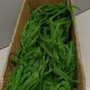 Senjie Christmas Garland Norfolk Pine Garland Real Touch Artificial Greenery Garland for Mantle Fireplace Table Indoor Outdoor Holiday Decortions 6FT 2PCS