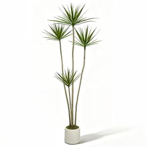 Crasraye 5.2ft Dracaena Marginata Artificial Plant, 4-Head Faux Dragon Tree