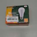 Neporal MagicGlow Rechargeable Light Bulbs with Remote, 3 Colors Shift + Dimmable Battery Powered Light Bulbs, USB Rechargeable, A19 Standard Emergency LED Light Bulbs, 15W, Up to 24 Hours, 2 Pack (White)