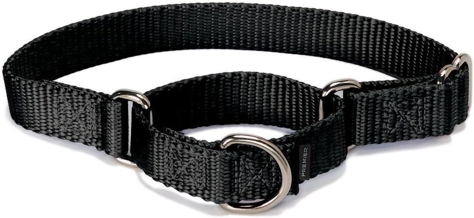 PetSafe Martingale Dog Collar Medium, 1 Inch, Black