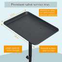 Salon Tray for Hair Stylist Steel Salon Tray Attached to Chair 360 Degree Rotating Salon Tray for Barber Chairs Hairdressing Tools Tattoo(Black)