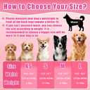 Female Dog Diapers,Disposable Dog Diapers,50 Count,Small,Super Absorbent Leak-Proof Diapers for Dogs in Heat,Excitable Urination,or Incontinence