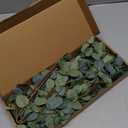 6 Pcs 27" Eucalyptus Stems Greenery Stems Eucalyptus Leaf Spray in Green Silk Plastic Plants Floral Artificial Plants for Home Party Wedding Decoration