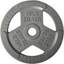Fitvids  Cast Iron 1" Standard Weight Plate, 45lb