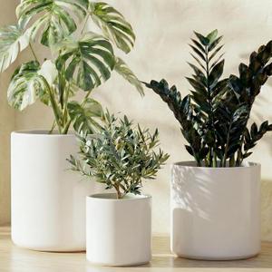 LE TAUCI Ceramic Pots for Plants, 10/8/6 Inch Indoor Planters with Draiange Hole, Silicone Plug & Mesh Pad, Modern Minimalist Pots for Home Office, Set of 3, Satin, White