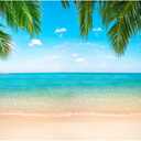 Beach Ocean Backdrop, Hawaii Tropical Background Summer Photography Picture Luau Theme Party Decorations, Ladvis 82.7"x59" Aloha Birthday Wedding Decor Banner Photo Studio Photoshoot Props (Blue)