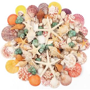 Fangoo 1.5 LB Mixed Sea Shells, 130+ PCS Beach Seashells Starfish Oyster Shells Various Sizes Ocean Seashells for Fish Tank Vase Fillers Beach Theme Party Wedding Decor DIY Crafts Home Decorations (Colorful-1)