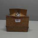 Niuniu Daddy 24" | 5 Pound Leopard Weighted Stuffed Animals for Kids Adults, Soft Leopard Weighted Beads for Plush Toys for Sleeping, Body Pillow for Present Birthday Christmas Holiday (Warm Brown Leopard Print)